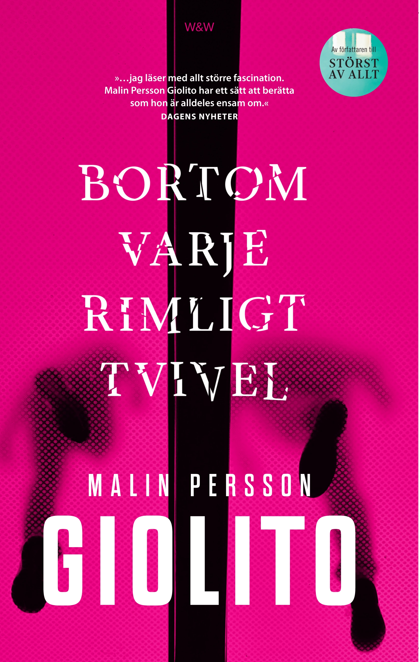 bortom varje rimligt tvivel malin persson giolito