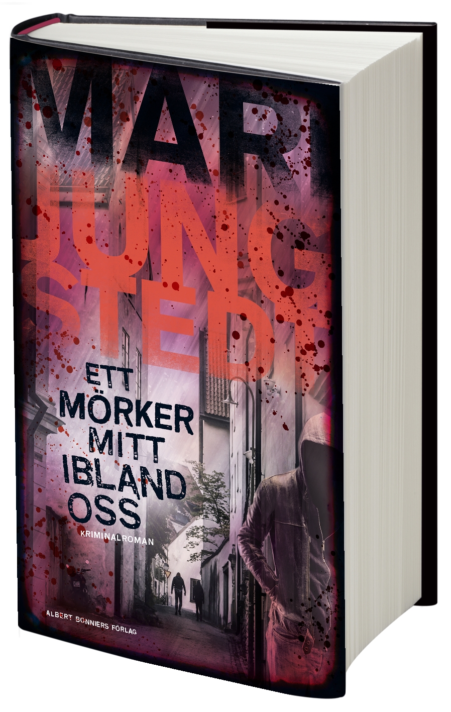 Ett mörker mitt ibland oss av Mari Jungstedt