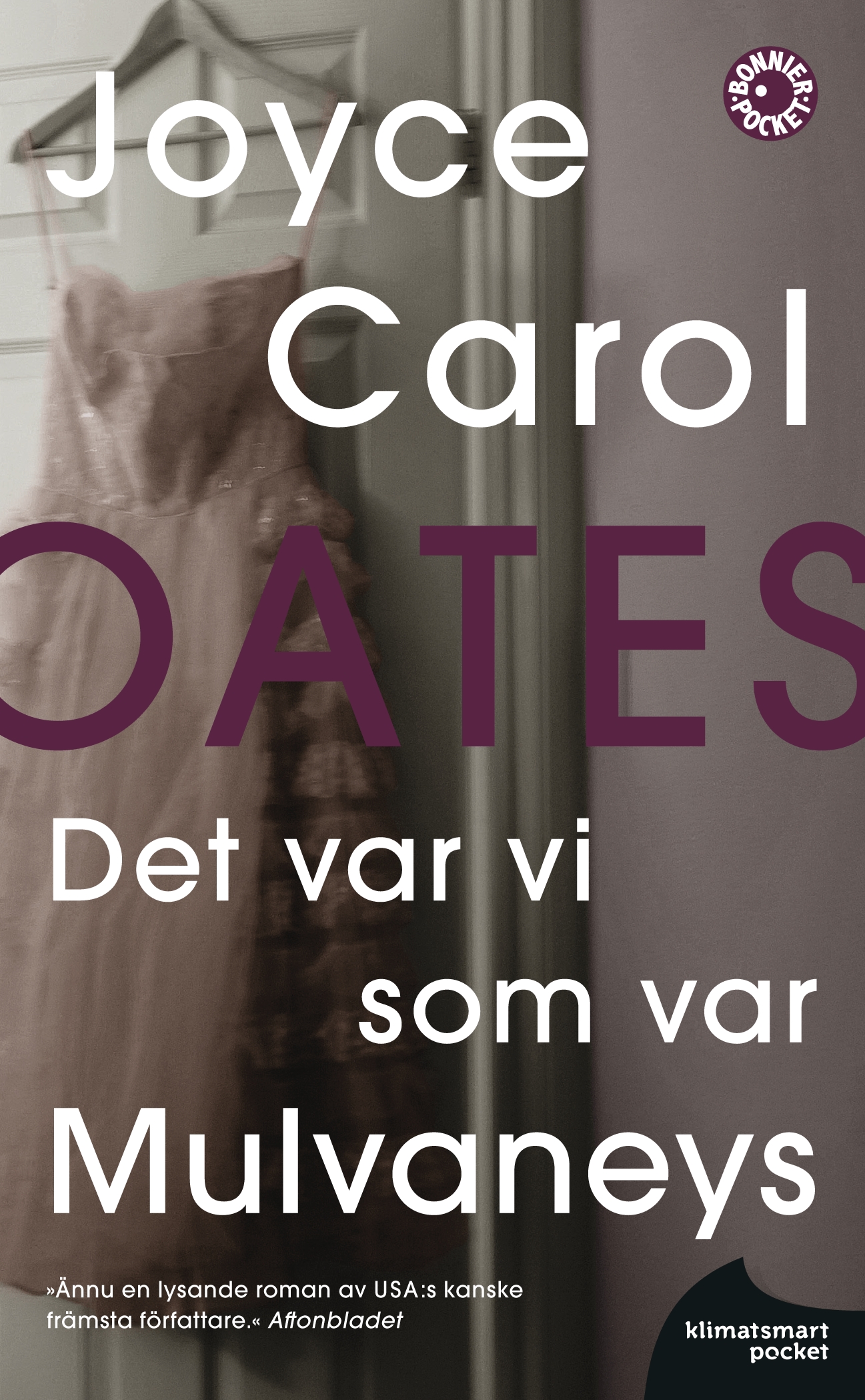 joyce carol oates Det var vi som var Mulvaneys