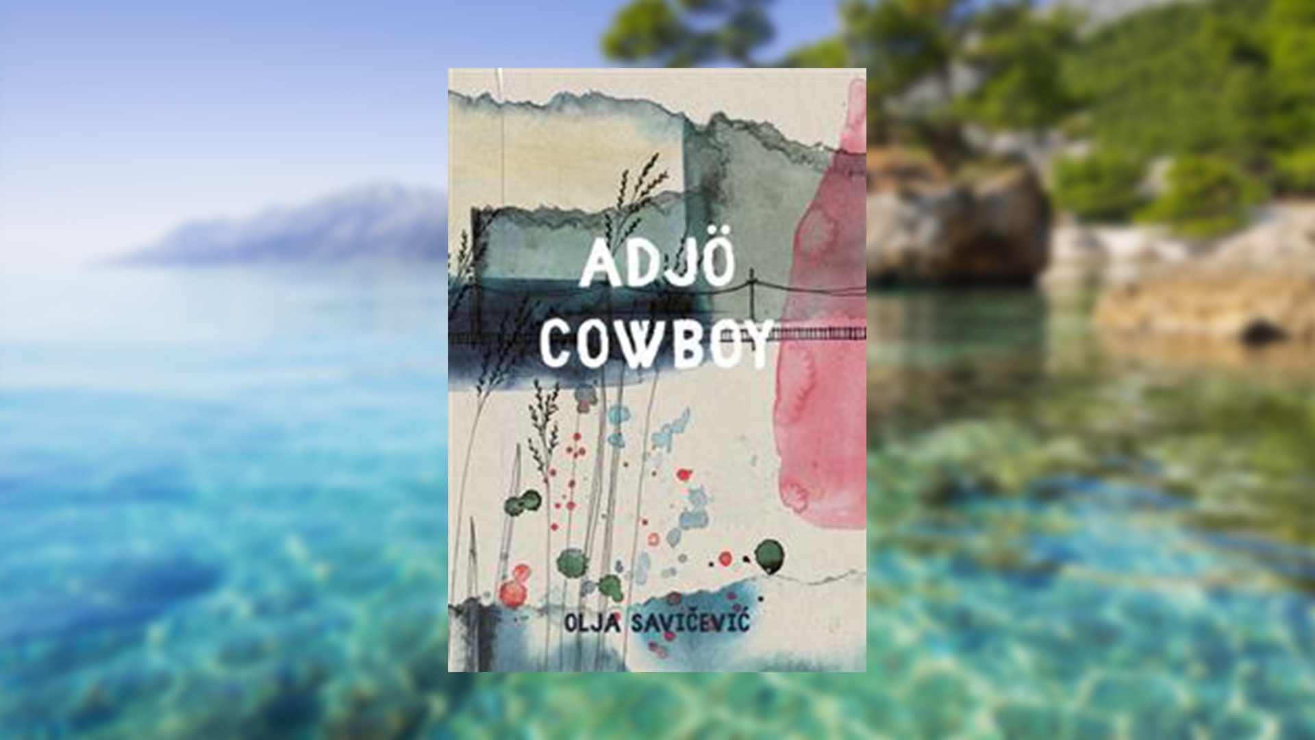 Adjö Cowboy