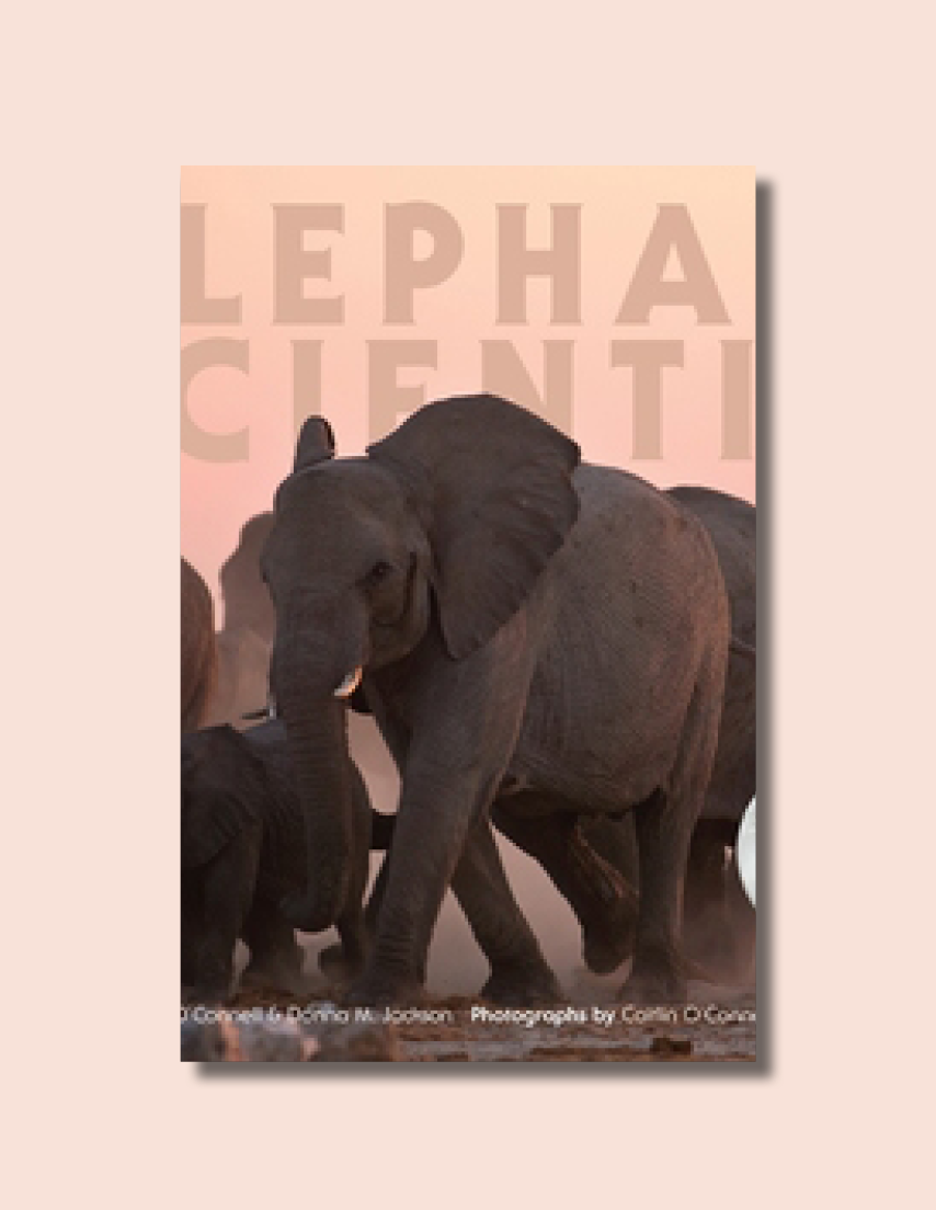 The Elephant Scientist av Caitlin O’Connell