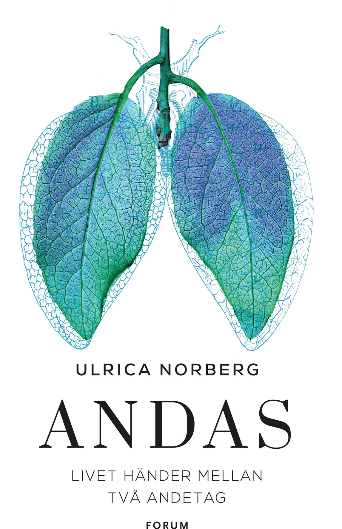 Andas av Ulrica Norberg