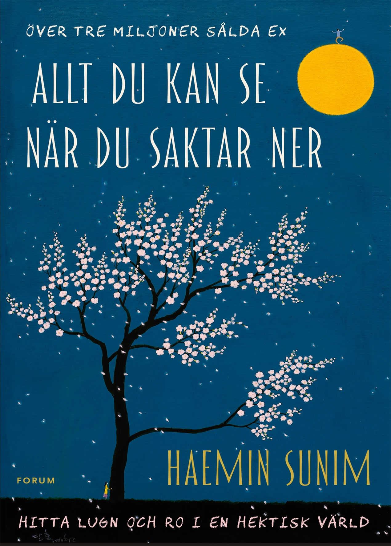 Allt du kan se när du saktar ner av Haemin Sunim