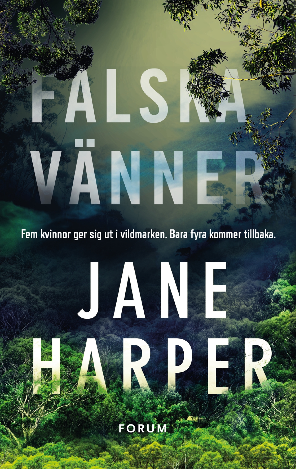 Falska vänner av Jane Harper