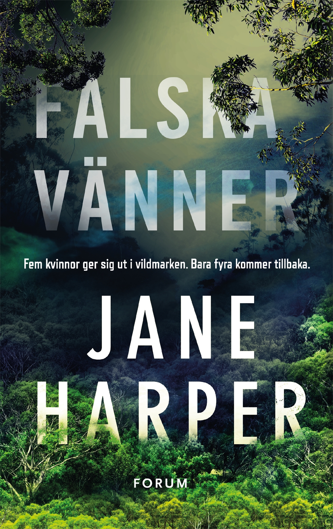 Falska vänner av Jane Harper 